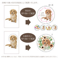 ブログ画像