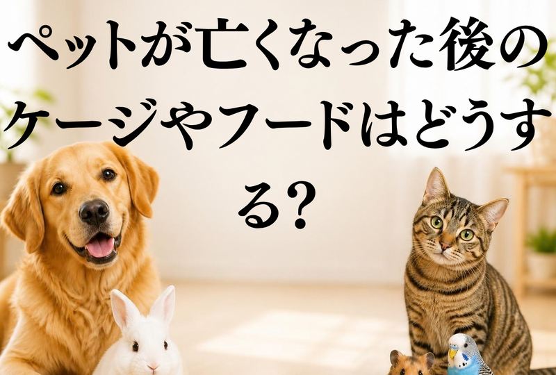 画像4277：【Q&A】ペットが亡くなった後のケージやフードはどうする？岐阜・一宮周辺の確実な寄付先と想い出の整理方法