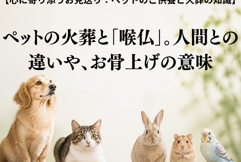 画像4293：ペットの火葬で「喉仏」は人間と違う？お骨上げの温かい意味と、残らなくても大丈夫な理由