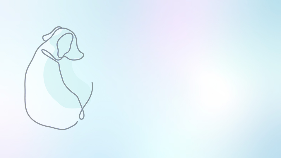 banner1