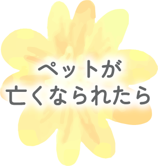 03_ペットが亡くなられたら