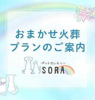 おまかせ火葬プラン