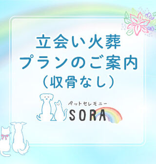  立ち合い火葬（収骨なし）プラン