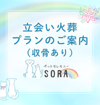 立ち合い火葬（収骨あり）プラン