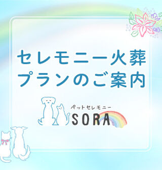 セレモニー火葬プラン